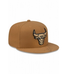 Chicago Bulls Snapback Cap 25G008