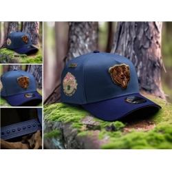Chicago Bears Snapback Cap 26J F141